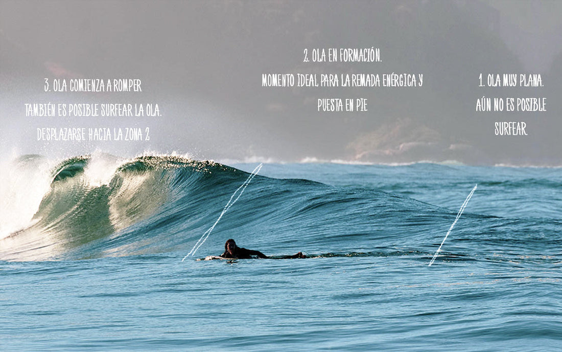 Descripción de evolución de la ola, se explica como aprender a coger olas