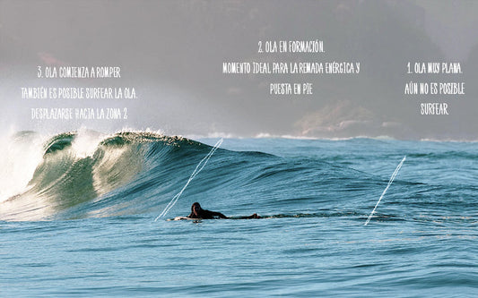 Descripción de evolución de la ola, se explica como aprender a coger olas