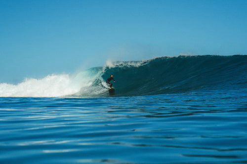 IA y Surf: Cómo la Tecnología Está Cambiando el Aprendizaje