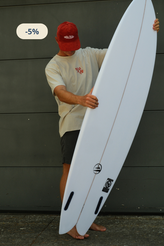 Fish 6.4 Epoxy Fiber Surfboard