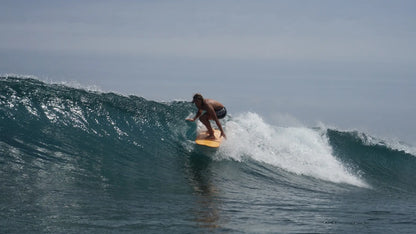 Surfboard Fiber 6.6 Epoxy