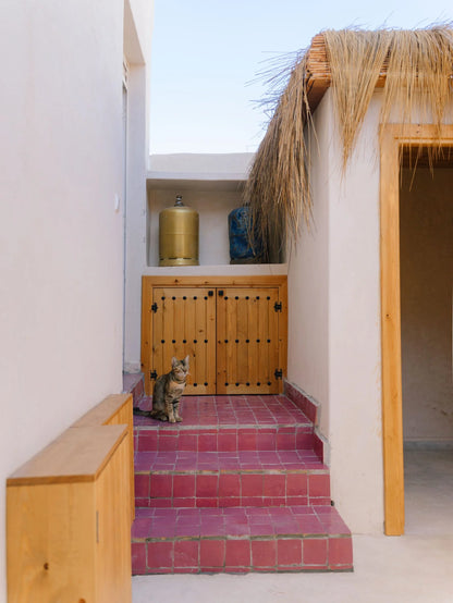 Flysurf Trip Marruecos 21 feb – 28 feb