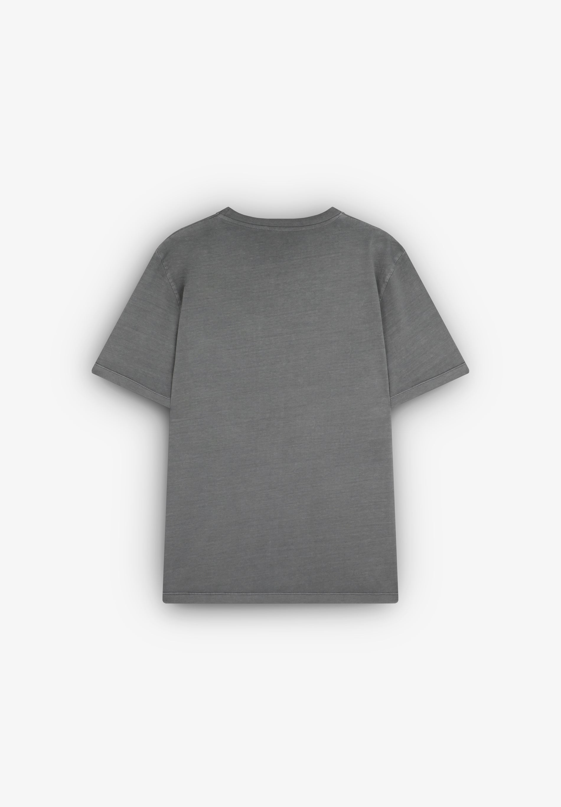 Camiseta Logo Line Gris - Ropa