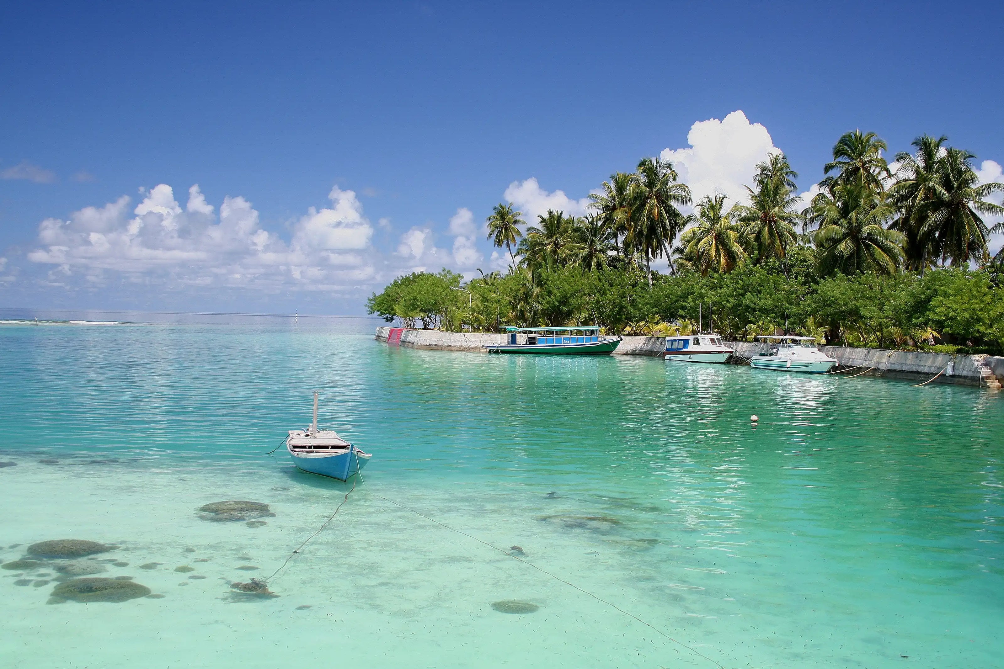 Vista de una isla virgen con palmeras rodeada de lagunas turquesas y rompientes de surf.