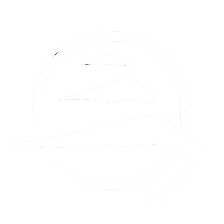 logo de flysurf en color blanco