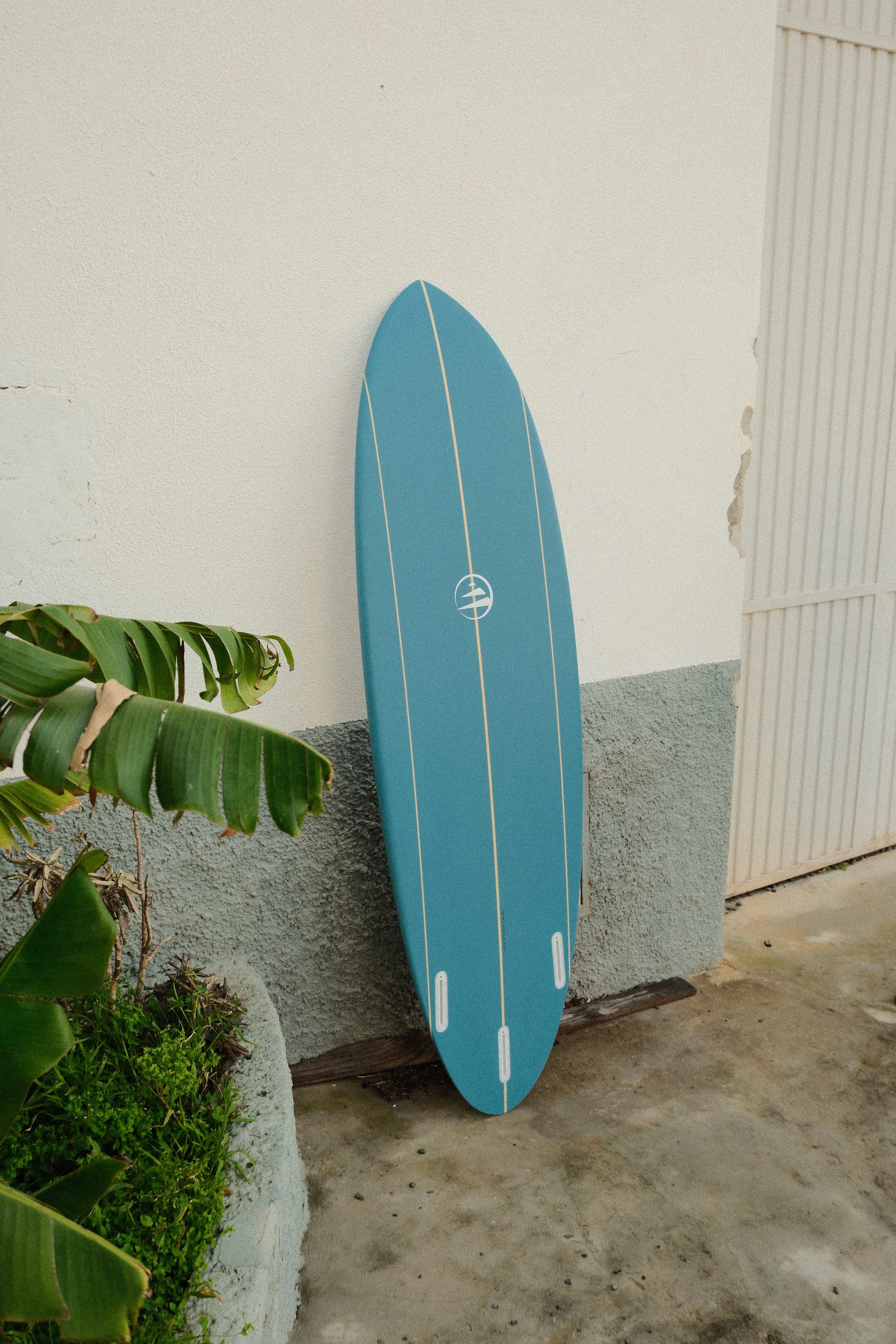 tabla de surf azul evolutiva de fibra apoyada sobre la pared mostrando la parte posterior