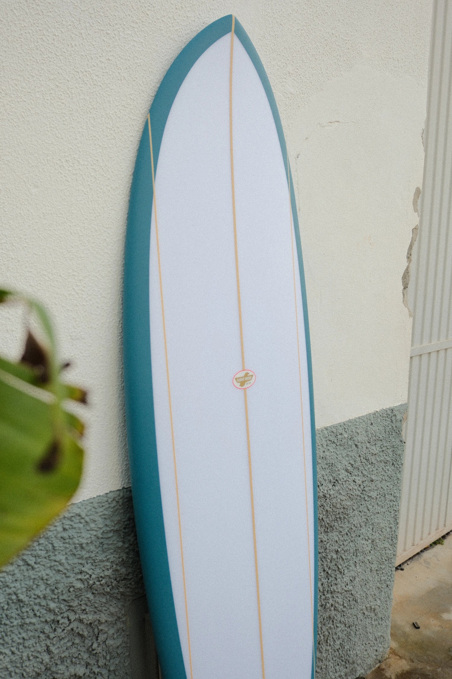 zoom sobre la parte blanca de la nueva tabla de surf de flysurf