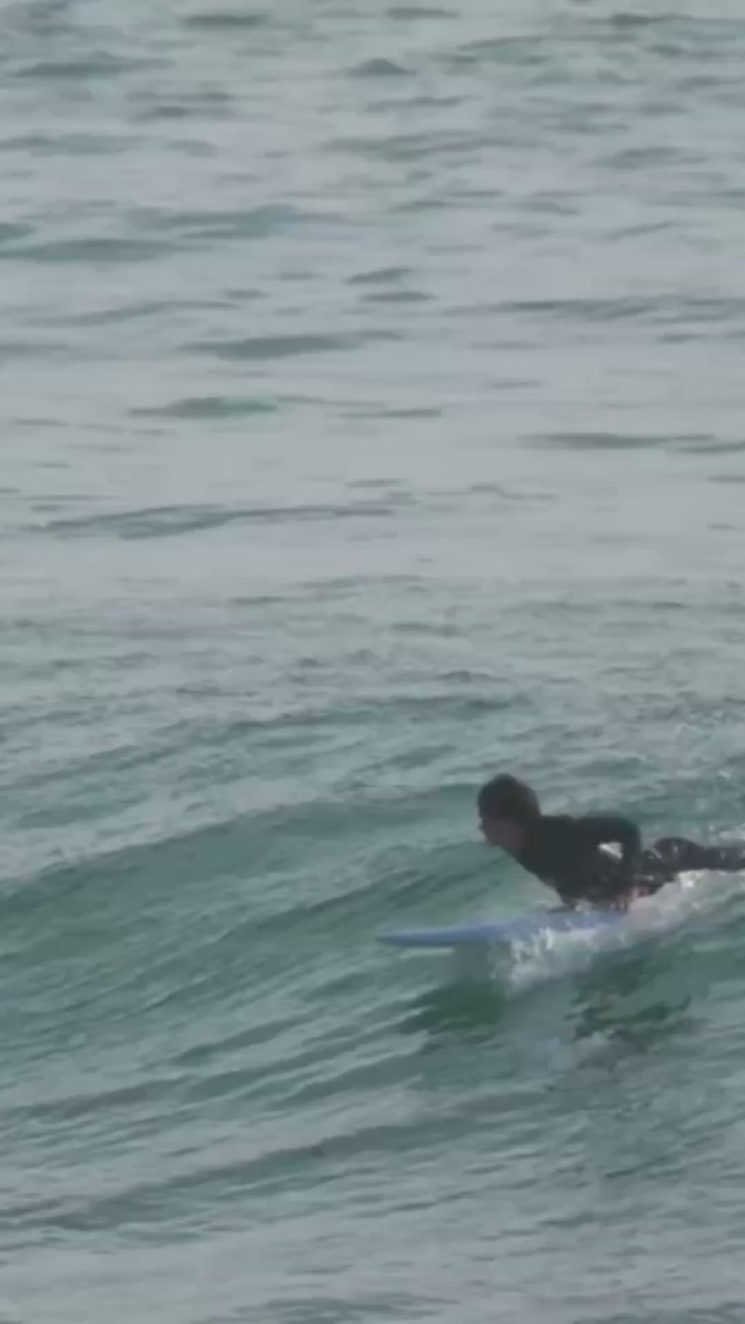 Tabla de surf Sea Calling 7.2 Azul | Flysurf