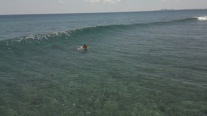 Aberto surfeando una ola de maldivas