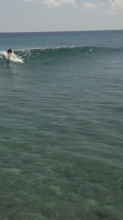 Tabla de surf Fibra Fish 6.4