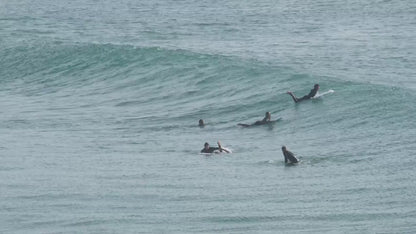Tabla de surf 5.10 Do It Your Wave Rosa