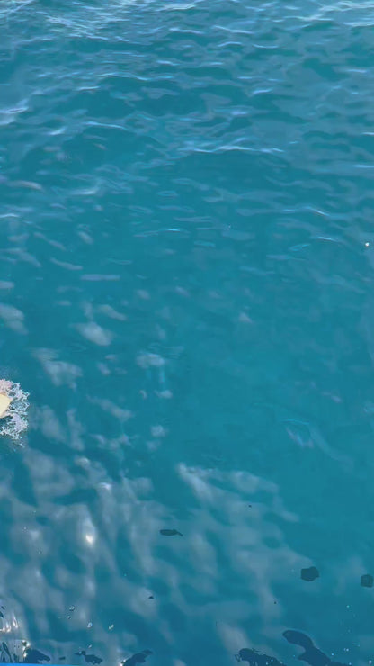 Tabla de surf Fibra Fish 6.4