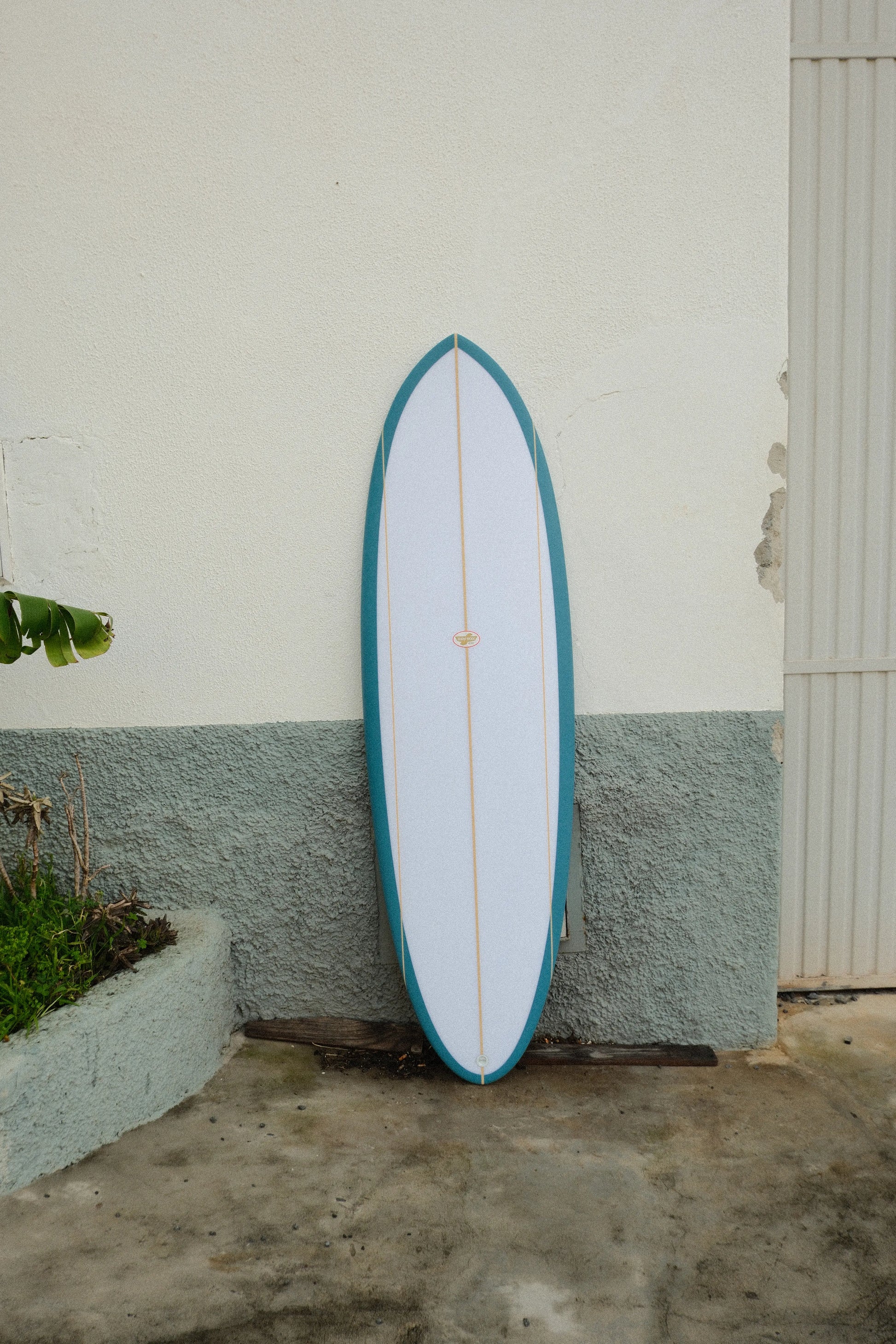 primer plano completo de la tabla de surf evolutiva de flysurf apoyada sobre la pared