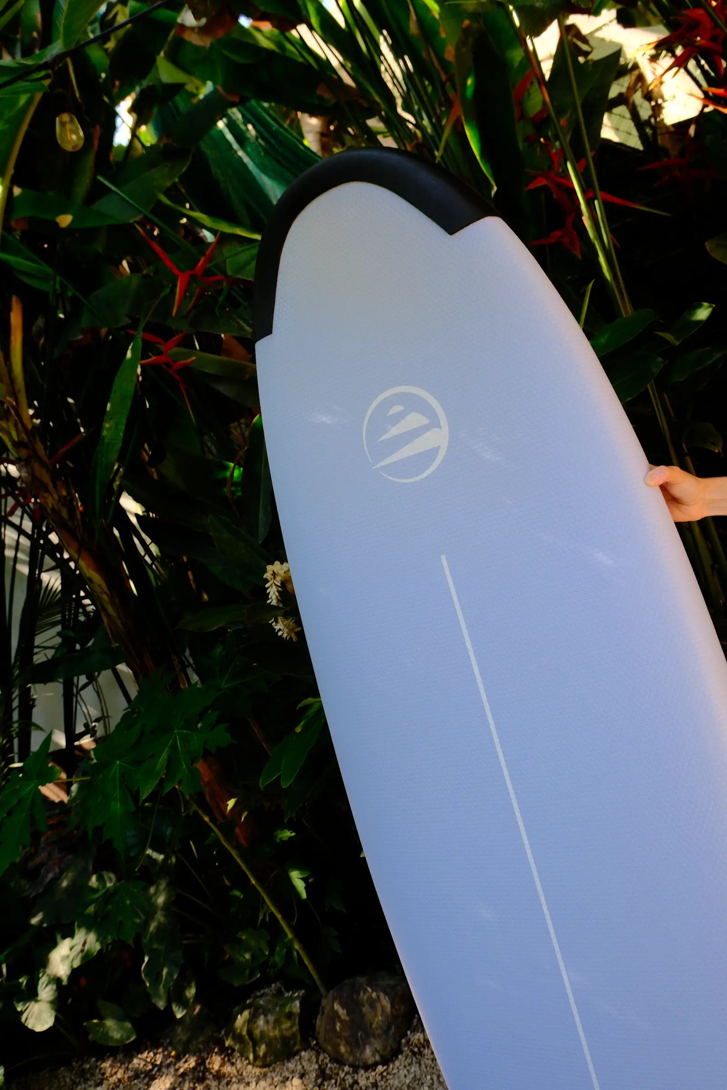 Planche de surf Cool School 7.2