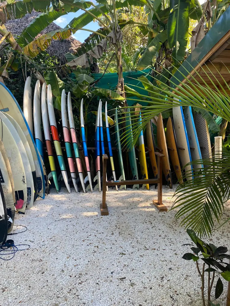 Flysurf Trip Costa Rica 17 jun – 24 jun